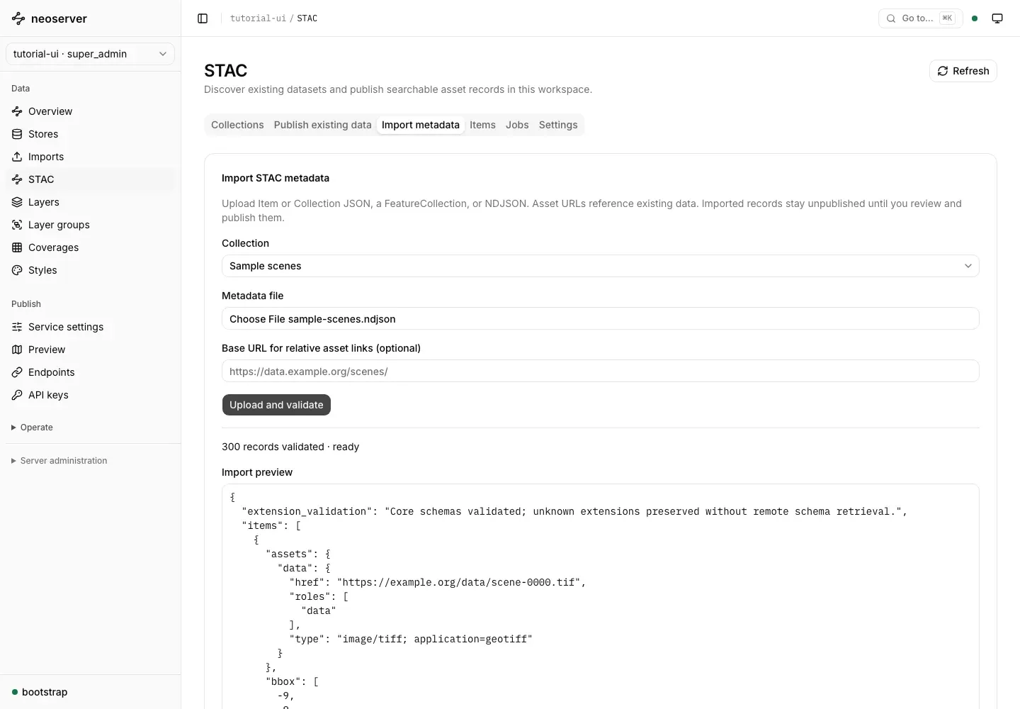 Import metadata form showing 300 validated records ready to publish